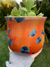 Load image into Gallery viewer, Crystalline Glazed Medium Plant Pot