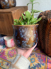 Load image into Gallery viewer, Crystalline Glazed Medium Plant Pot