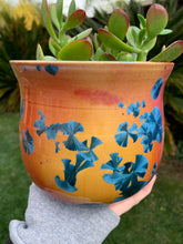 Load image into Gallery viewer, Crystalline Glazed Medium Plant Pot