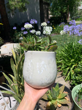 Load image into Gallery viewer, Ceramic Plant Pot Handmade Crystalline Glazed Medium Planter
