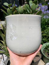 Load image into Gallery viewer, Ceramic Plant Pot Handmade Crystalline Glazed Medium Planter
