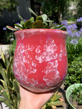 Load image into Gallery viewer, Ceramic Plant Pot Handmade Crystalline Glazed Medium Planter
