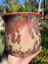 Load image into Gallery viewer, Crystalline Glazed Medium Plant Pot
