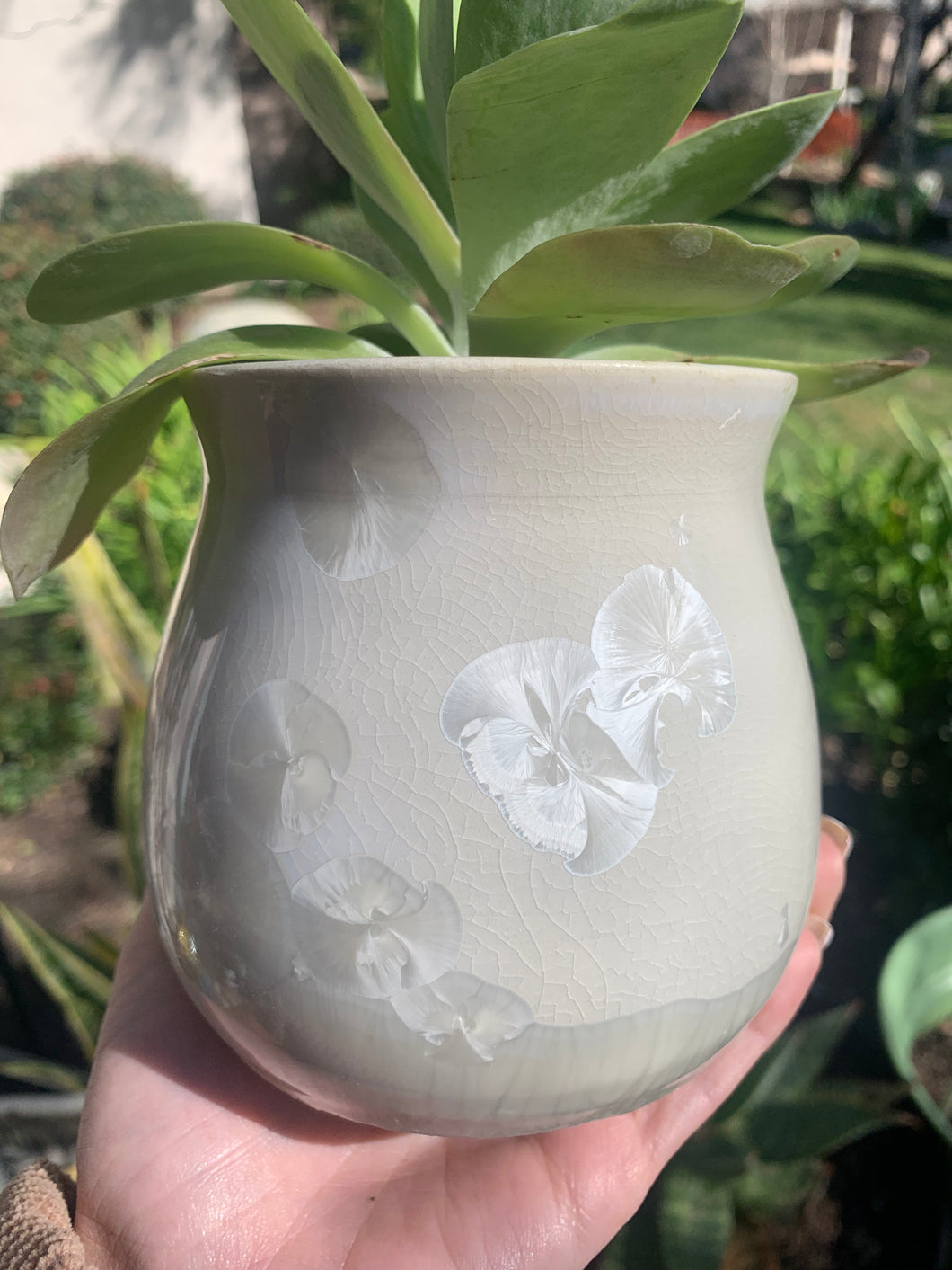 Succulent Plant Pot Handmade Crystalline Glazed Planter
