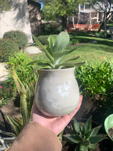 Load image into Gallery viewer, Succulent Plant Pot Handmade Crystalline Glazed Planter
