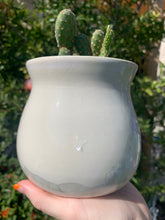 Load image into Gallery viewer, Succulent Plant Pot Handmade Crystalline Glazed Planter

