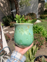 Load image into Gallery viewer, Ceramic Plant Pot Handmade Crystalline Glazed Medium Planter
