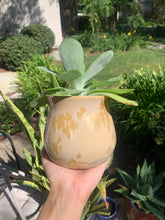 Load image into Gallery viewer, Small Plant Pot Handmade Crystalline Glazed Planter
