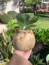 Load image into Gallery viewer, Succulent Plant Pot Handmade Crystalline Glazed Planter
