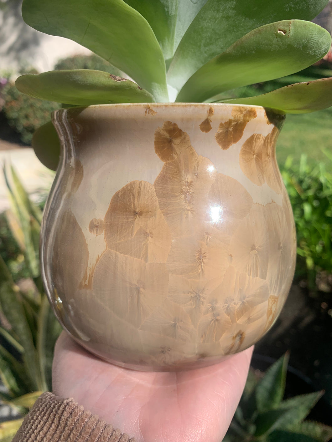 Succulent Plant Pot Handmade Crystalline Glazed Planter
