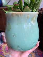 Load image into Gallery viewer, Crystalline Glazed Medium Plant Pot
