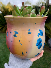 Load image into Gallery viewer, Crystalline Glazed Medium Plant Pot
