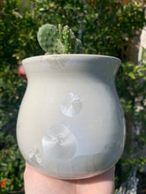 Load image into Gallery viewer, Succulent Plant Pot Handmade Crystalline Glazed Planter
