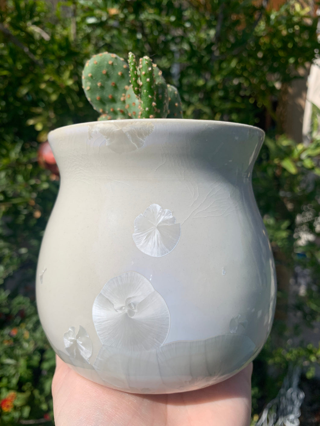 Succulent Plant Pot Handmade Crystalline Glazed Planter