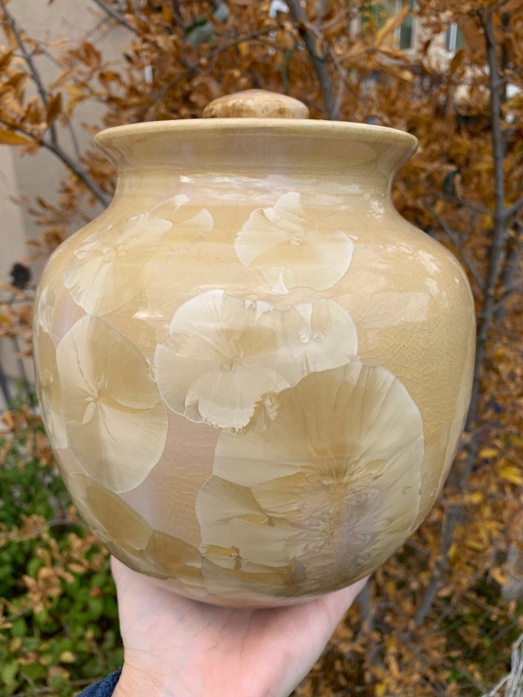 Crystalline Pottery Decorative Jar or Vase with Lid