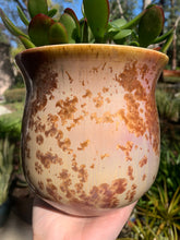 Load image into Gallery viewer, Crystalline Glazed Medium Plant Pot

