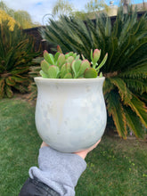 Load image into Gallery viewer, Crystalline Glazed Medium Plant Pot
