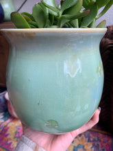 Load image into Gallery viewer, Crystalline Glazed Medium Plant Pot

