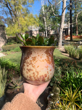 Load image into Gallery viewer, Crystalline Glazed Medium Plant Pot
