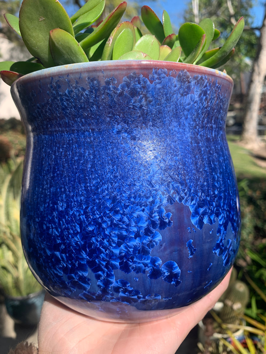 Crystalline Glazed Medium Plant Pot