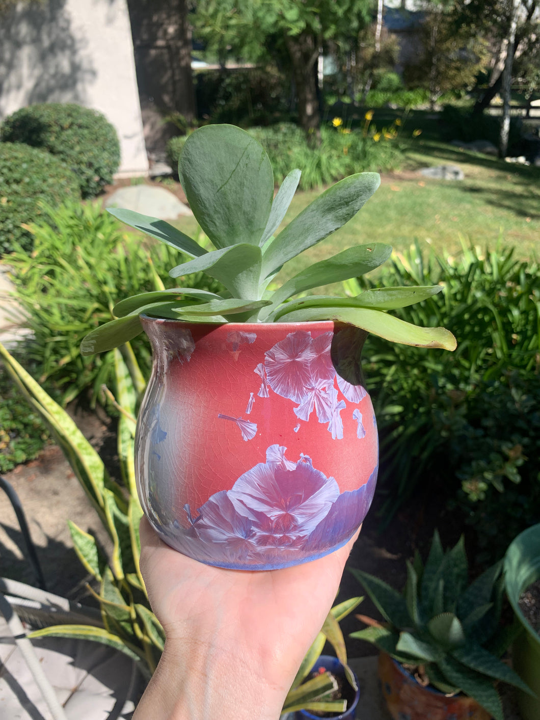 Small Plant Pot Handmade Crystalline Glazed Planter