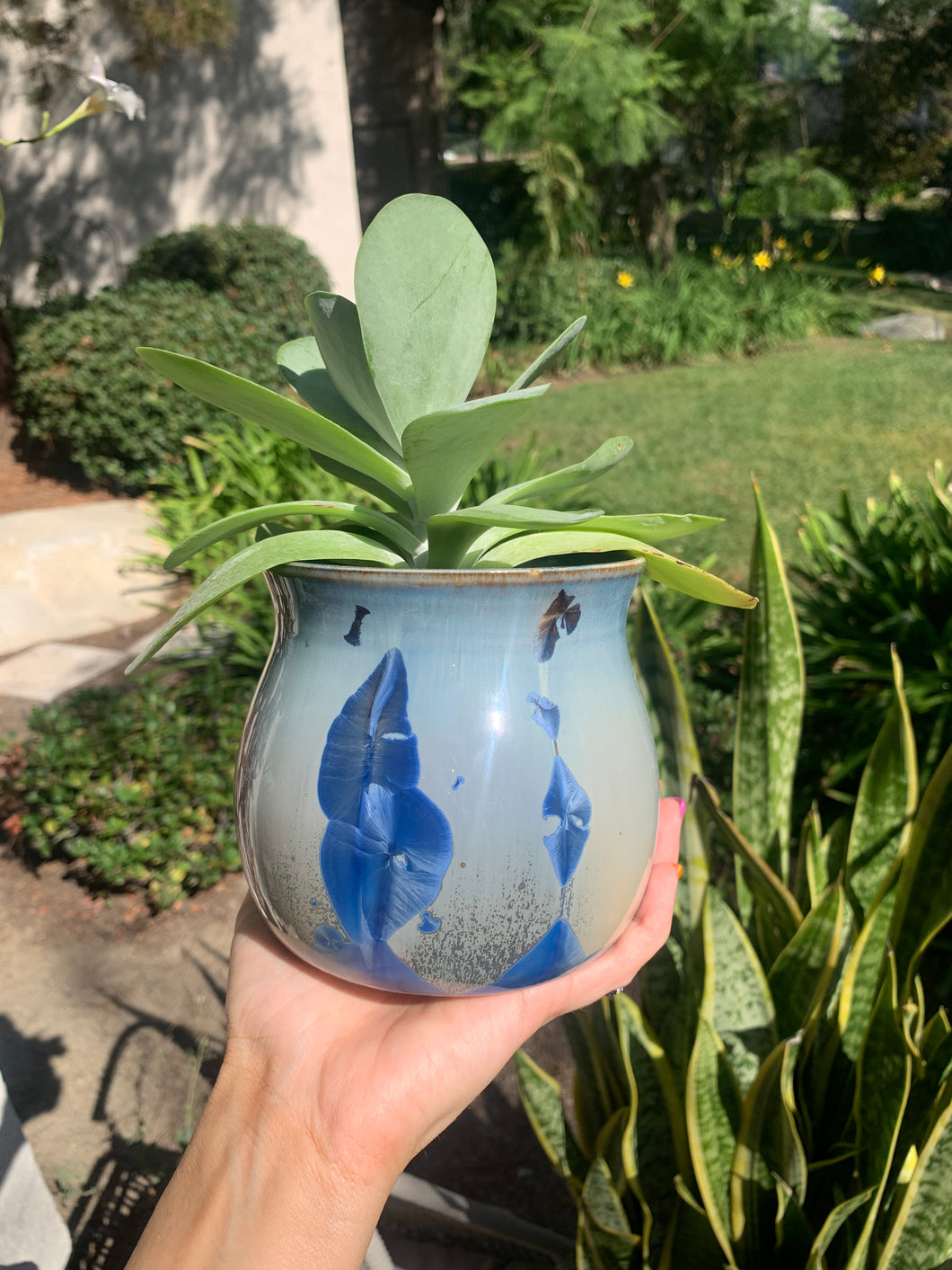 Small Plant Pot Handmade Crystalline Glazed Planter