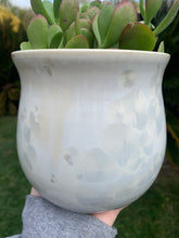 Load image into Gallery viewer, Crystalline Glazed Medium Plant Pot
