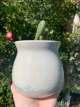 Load image into Gallery viewer, Succulent Plant Pot Handmade Crystalline Glazed Planter

