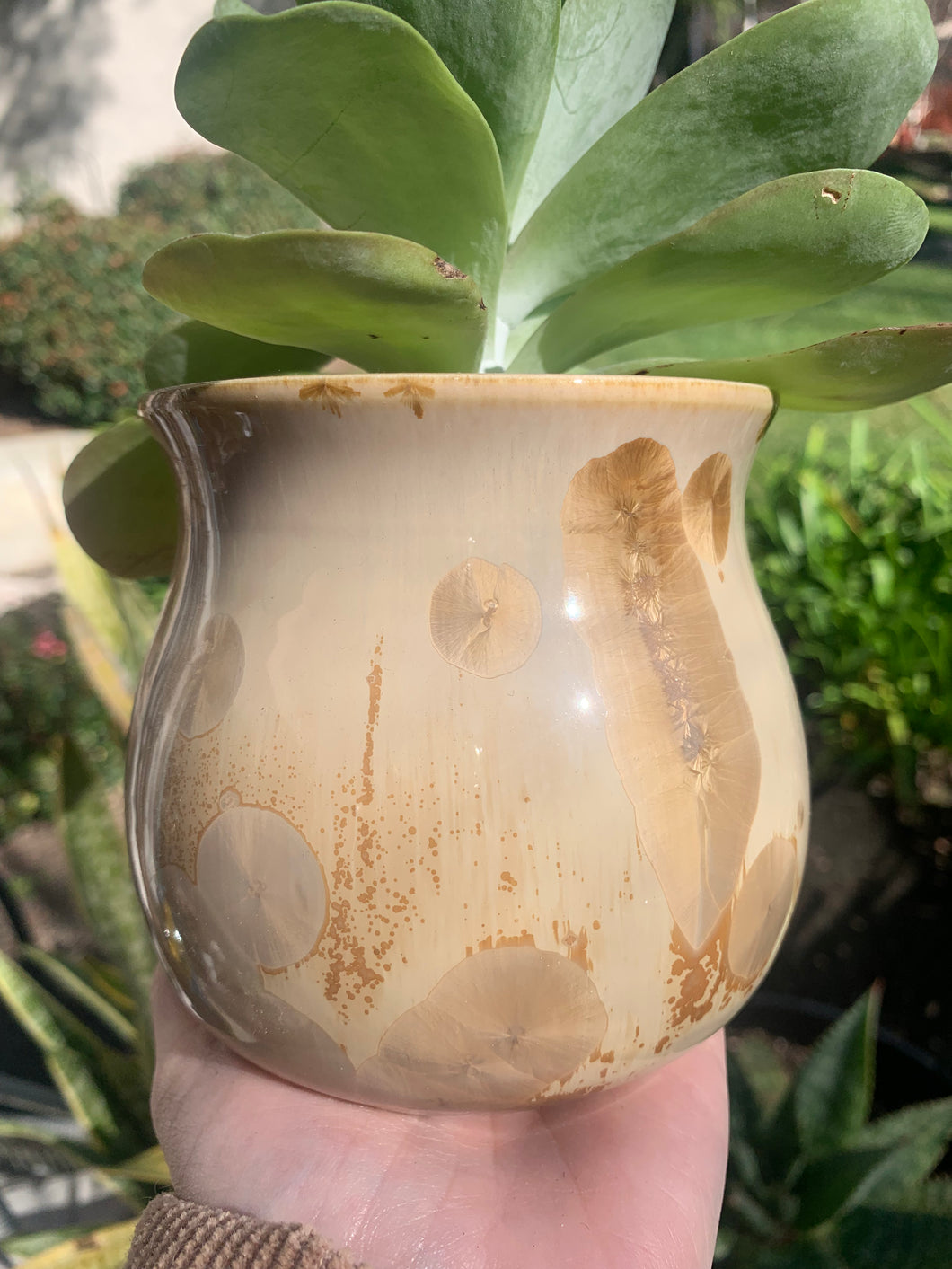 Succulent Plant Pot Handmade Crystalline Glazed Planter