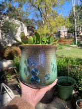 Load image into Gallery viewer, Crystalline Glazed Medium Plant Pot

